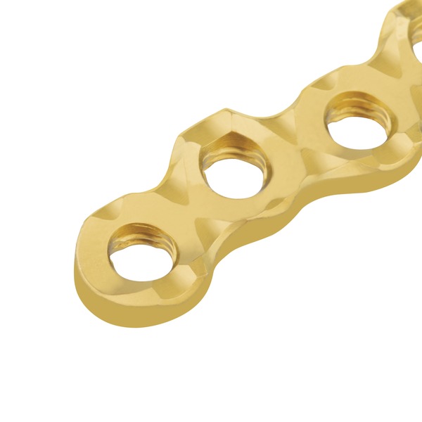 EickLoxx S Type knogleplader til EickLoxx Large, guld 1
